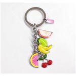 COACH(������)������� 92094 SV/MC �ե��󡦥ե롼�ġ������ե���