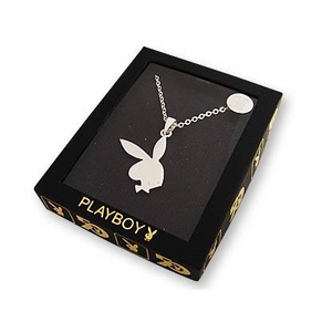 <img src=
