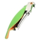Alessi(AbV) \GiCt AAM32 GR 摜1