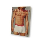 Calvin Klein(Х󥯥饤) U7051 WT(100)  ܥ ֥꡼եѥ  XL ۥ磻