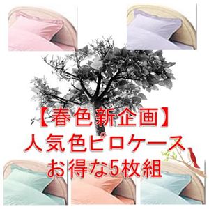 �y�t�F�V���z�s���P�[�X ������5�F�g