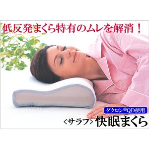 �_�N����(R)QD�ᔽ���s���[M�T�C�Y