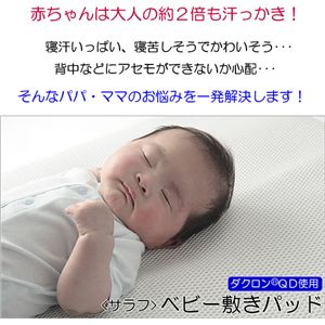 �_�N����(R)QD�x�r�[�p�~�p�b�h