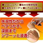 �����N���G�N�X�p���_�[�d�w �摜3