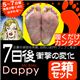 ダッピー（Dappy）【2箱セット】画像