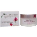 �G���V���R�C �p�[�t�F�N�g���C���N���[�� 50ml �摜1