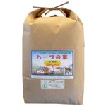 ͭ�����ƥϡ��֤η� 10Kg