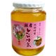 かの蜂 国産レンゲ蜂蜜 1000g