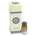 Palm Tree ブルガリアローズ 1ml|