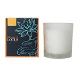 u[ Iu [^X tOXLh Vg 150g