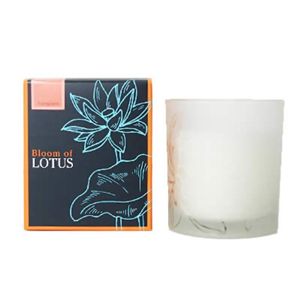 u[ Iu [^X tOXLh tWpj 150g