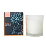u[ Iu [^X tOXLh tWpj 150g