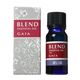 (まとめ買い)ガイア ブレンドエッセンシャルオイル 深い森 10ml×2セット