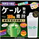 ケール粉末100%青汁 (シェーカー付) 170g