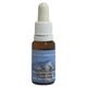 ピンクイルカエッセンス 15ml