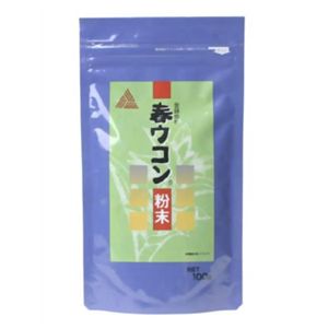 春ウコン 粉末 100g - 拡大画像
