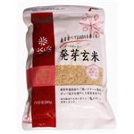 （まとめ買い）はくばく 発芽玄米 500g×5セット