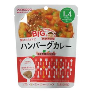 BIGサイズのグーグーキッチン ハンバーグカレー 100g 【18セット】