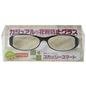 花粉用メガネ
