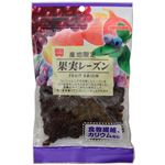 製菓用果実レーズン 240g 【8セット】