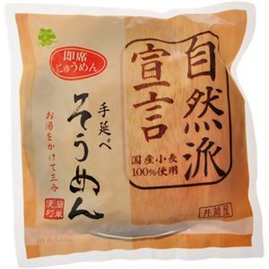 （まとめ買い）即席手延べにゅうめん 自然派宣言 90g×10セット