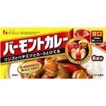 バーモントカレー(甘口) 119g 【21セット】