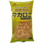 （まとめ買い）発芽玄米 マカロニ フジッリタイプ 大 150g×18セット