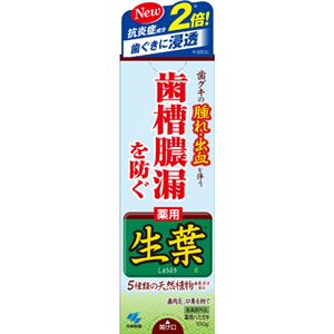 （まとめ買い）生葉(しょうよう)b 100g×4セット