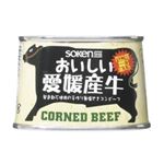 （まとめ買い）創健社 おいしい愛媛産牛コンビーフ 100g×3セット