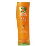 �n�[�o���G�b�Z���X �W���[�V�[�T���V���C�� �R���f�B�V���i�[ 300g �y6�Z�b�g�z �摜1