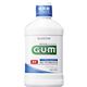 薬用GUM(ガム) デンタルリンスBN ノンアルコールタイプ 250ml 【5セット】