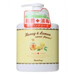 ペリカン 薬用ハンドソープ（はちみつレモンの香り） 250ml 【3セット】