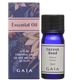 GAIA　キャロット・シード　5ml