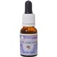 ヒマラヤン フラワー エンハンサーズ グレートフルネス 15ml