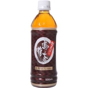 【ケース販売】龍泉洞のウーロン茶 500ml×24本