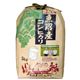 5ツ星マイスター推奨 魚沼産コシヒカリ 5kg