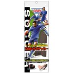 DSISソルボ サッカー 2S（22.5-24.0cm） 1足入