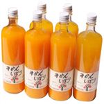 【ケース販売】伊藤農園 100%ピュアジュース みかんしぼり 900ml*6本