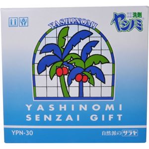 ヤシノミ洗剤ギフト YPN-30