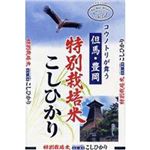 日生 豊岡産（特別栽培）コシヒカリ 5kg