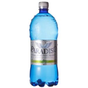 【ケース販売】パラディーゾ フリザンテ 炭酸入 1000ml×24本