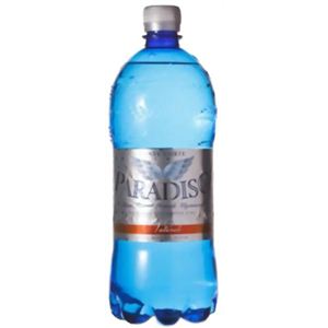 【ケース販売】パラディーゾ ナチュラーレ 無炭酸 1000ml×24本