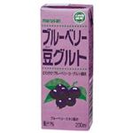 【ケース販売】マルサン ブルーベリー豆グルト 200ml*24本