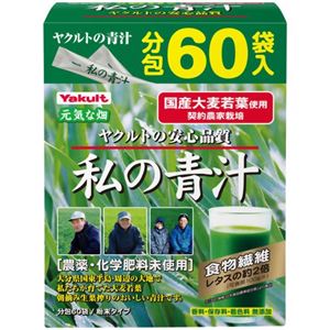 ���N���g ���̐` 4g*60���