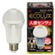 アイリスオーヤマ LED電球人感センサー付 電球色相当 E26口金 全光束485lm LDA5L-H