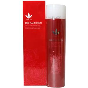 �r�[�o���W���A388 ���[�Y�v�������[�V���� 120ml
