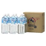 バナペット水 2L×6本