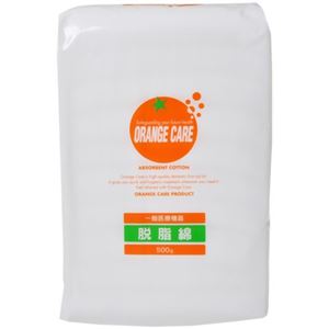 �I�����W�P�A �E���� 500g