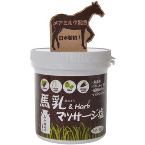 馬乳&ハーブ マッサージ塩(ボディ用) シトラスの香り 400g
