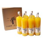 【ケース販売】伊藤農園 100%ピュアジュース あまなつしぼり 900ml*6本